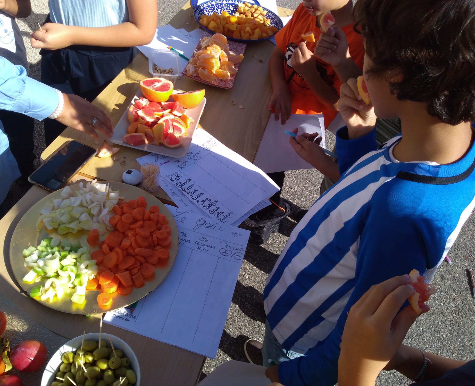 ecole valeurs et réussite sortie scolaire 